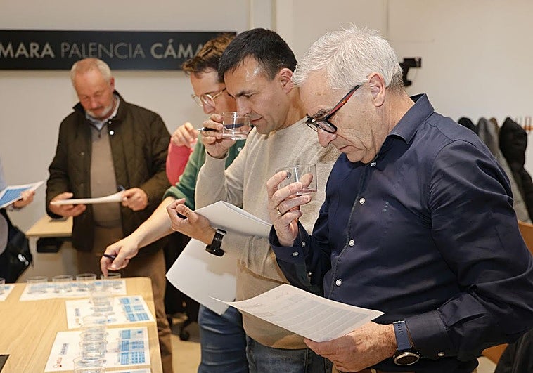 Del desperdicio alimentario al fertilizante ecológico